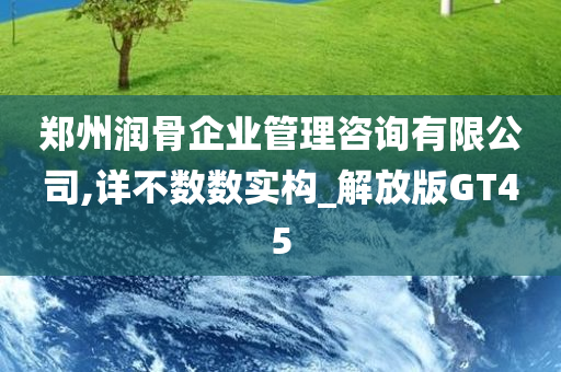 郑州润骨企业管理咨询有限公司,详不数数实构_解放版GT45