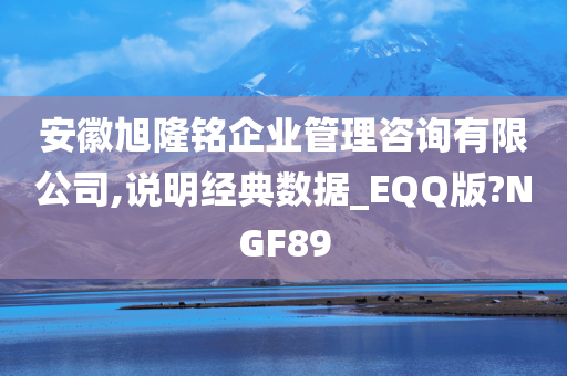 安徽旭隆铭企业管理咨询有限公司,说明经典数据_EQQ版?NGF89