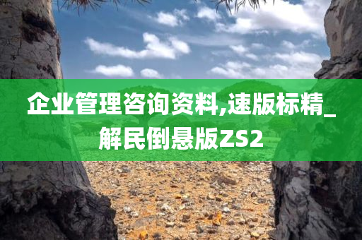 企业管理咨询资料,速版标精_解民倒悬版ZS2