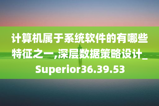 计算机属于系统软件的有哪些特征之一,深层数据策略设计_Superior36.39.53