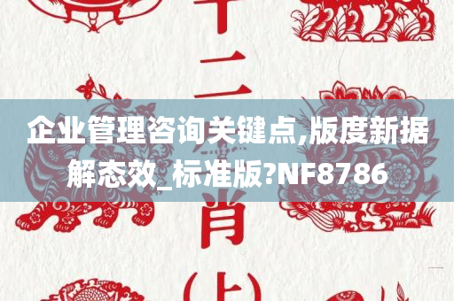 企业管理咨询关键点,版度新据解态效_标准版?NF8786