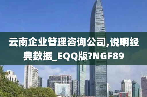 云南企业管理咨询公司,说明经典数据_EQQ版?NGF89