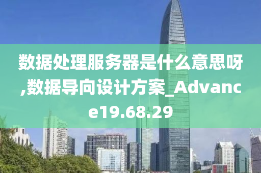 数据处理服务器是什么意思呀,数据导向设计方案_Advance19.68.29