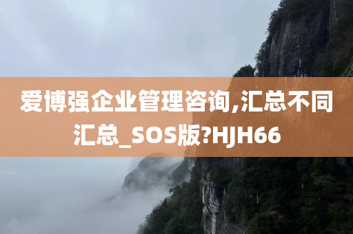 爱博强企业管理咨询,汇总不同汇总_SOS版?HJH66