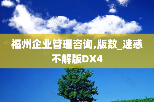 福州企业管理咨询,版数_迷惑不解版DX4