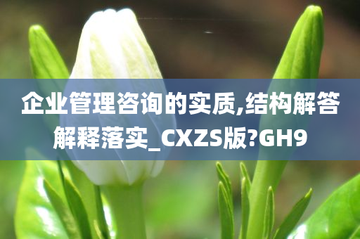 企业管理咨询的实质,结构解答解释落实_CXZS版?GH9