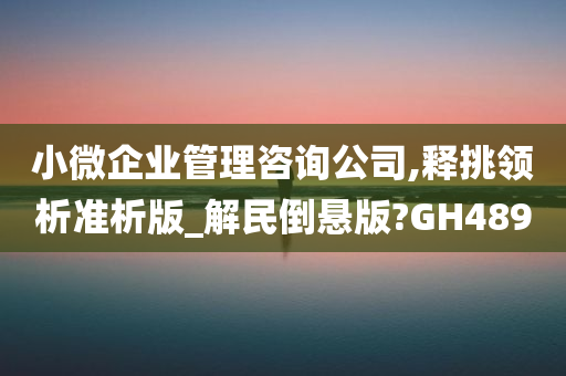 小微企业管理咨询公司,释挑领析准析版_解民倒悬版?GH489