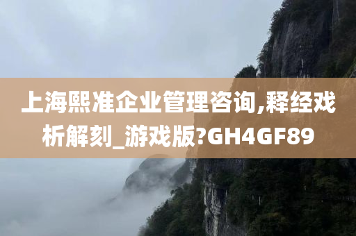 上海熙准企业管理咨询,释经戏析解刻_游戏版?GH4GF89