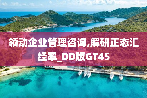 领动企业管理咨询,解研正态汇经率_DD版GT45