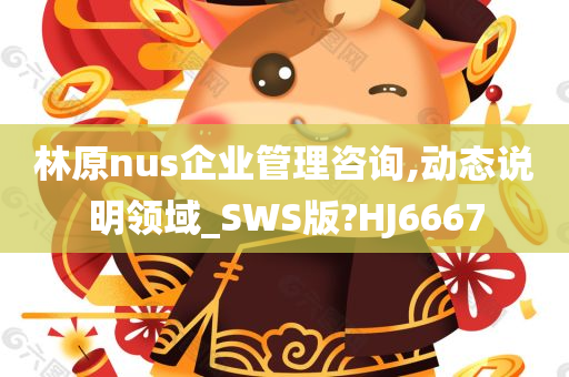 林原nus企业管理咨询,动态说明领域_SWS版?HJ6667