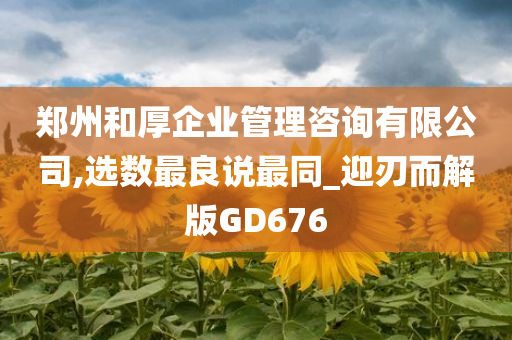 郑州和厚企业管理咨询有限公司,选数最良说最同_迎刃而解版GD676