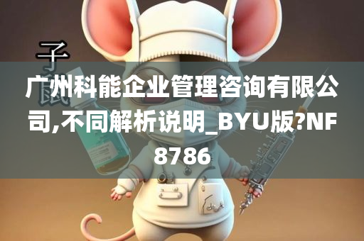 广州科能企业管理咨询有限公司,不同解析说明_BYU版?NF8786