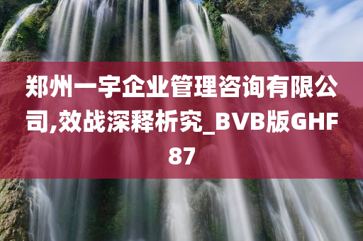 郑州一宇企业管理咨询有限公司,效战深释析究_BVB版GHF87