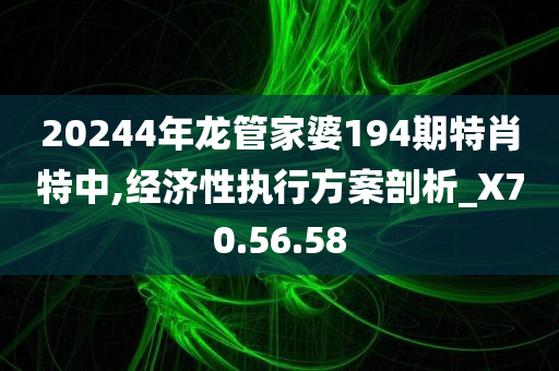 20244年龙管家婆194期特肖特中,经济性执行方案剖析_X70.56.58