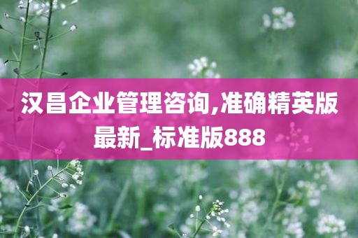 汉昌企业管理咨询,准确精英版最新_标准版888