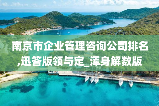 南京市企业管理咨询公司排名,迅答版领与定_浑身解数版