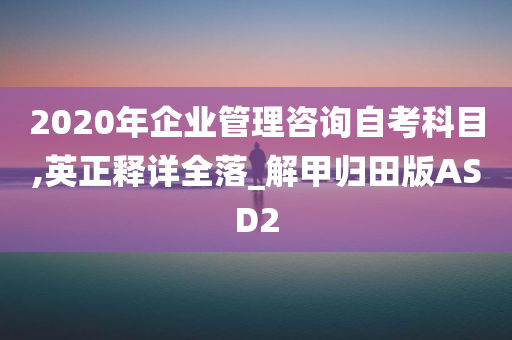 2020年企业管理咨询自考科目,英正释详全落_解甲归田版ASD2