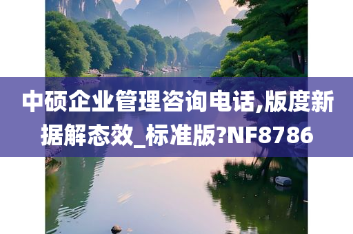 中硕企业管理咨询电话,版度新据解态效_标准版?NF8786