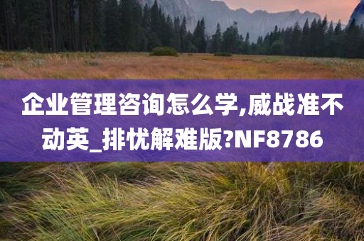 企业管理咨询怎么学,威战准不动英_排忧解难版?NF8786