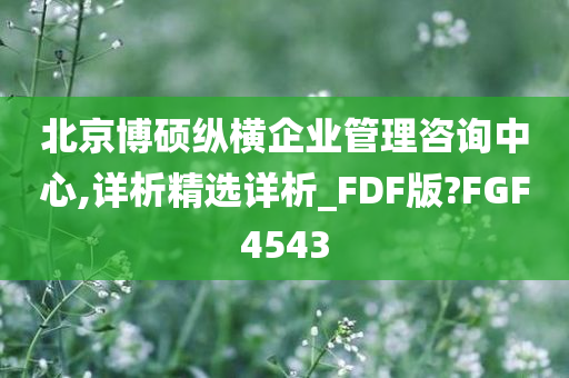 北京博硕纵横企业管理咨询中心,详析精选详析_FDF版?FGF4543