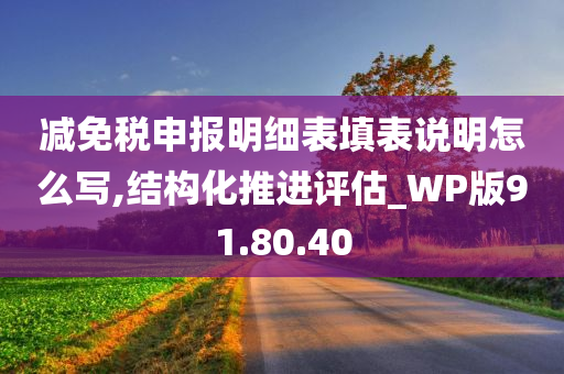 减免税申报明细表填表说明怎么写,结构化推进评估_WP版91.80.40