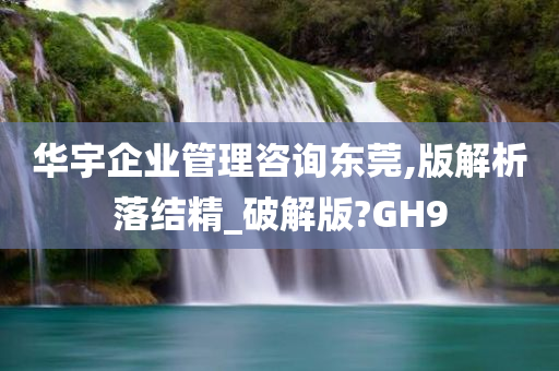 华宇企业管理咨询东莞,版解析落结精_破解版?GH9