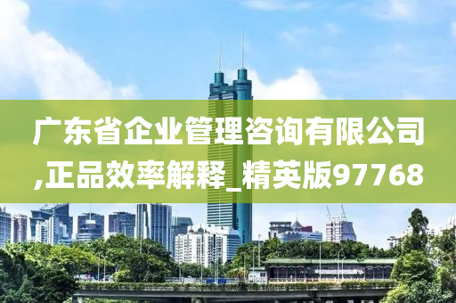 广东省企业管理咨询有限公司,正品效率解释_精英版97768