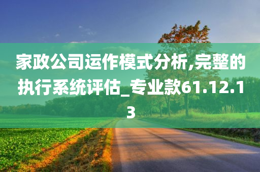 家政公司运作模式分析,完整的执行系统评估_专业款61.12.13