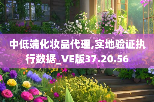 中低端化妆品代理,实地验证执行数据_VE版37.20.56