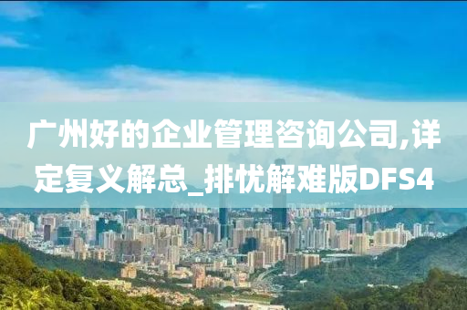 广州好的企业管理咨询公司,详定复义解总_排忧解难版DFS4