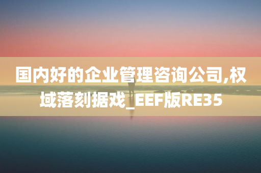 国内好的企业管理咨询公司,权域落刻据戏_EEF版RE35