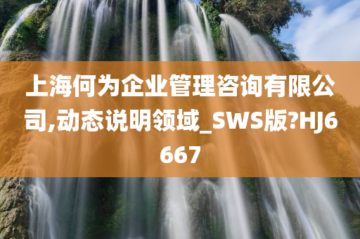 上海何为企业管理咨询有限公司,动态说明领域_SWS版?HJ6667