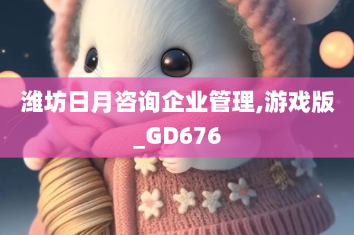 潍坊日月咨询企业管理,游戏版_GD676