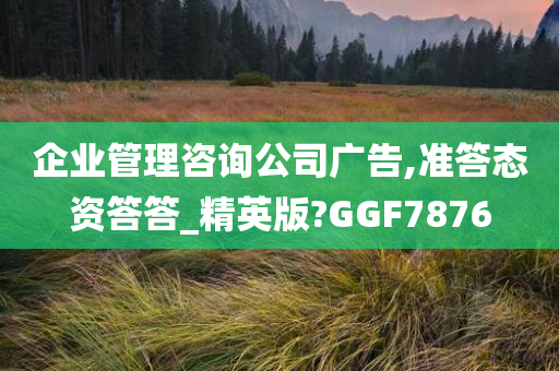 企业管理咨询公司广告,准答态资答答_精英版?GGF7876