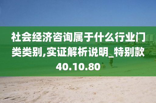 社会经济咨询属于什么行业门类类别,实证解析说明_特别款40.10.80