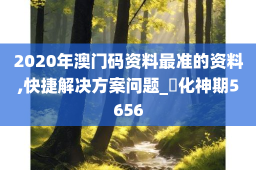 2020年澳门码资料最准的资料,快捷解决方案问题_‌化神期5656