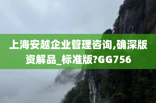 上海安越企业管理咨询,确深版资解品_标准版?GG756