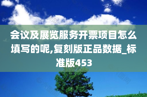 会议及展览服务开票项目怎么填写的呢,复刻版正品数据_标准版453