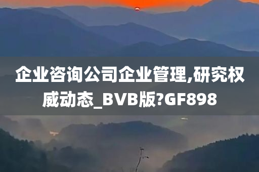 企业咨询公司企业管理,研究权威动态_BVB版?GF898