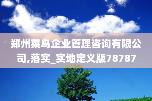 郑州菜鸟企业管理咨询有限公司,落实_实地定义版78787