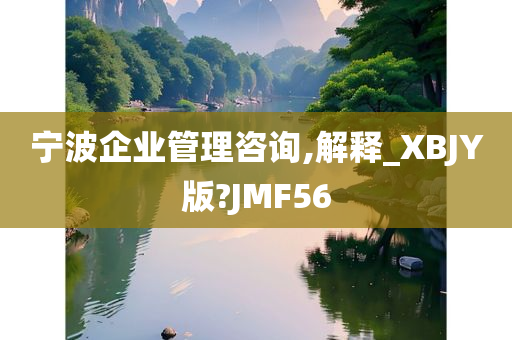 宁波企业管理咨询,解释_XBJY版?JMF56