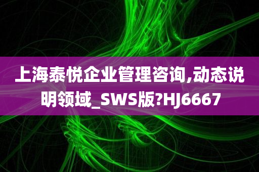 上海泰悦企业管理咨询,动态说明领域_SWS版?HJ6667