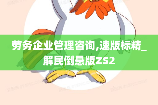 劳务企业管理咨询,速版标精_解民倒悬版ZS2