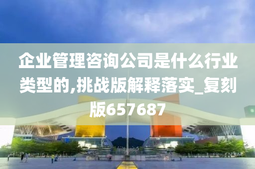 企业管理咨询公司是什么行业类型的,挑战版解释落实_复刻版657687