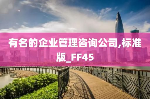 有名的企业管理咨询公司,标准版_FF45