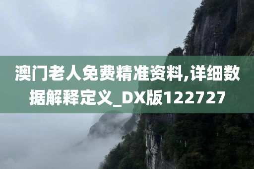 澳门老人免费精准资料,详细数据解释定义_DX版122727