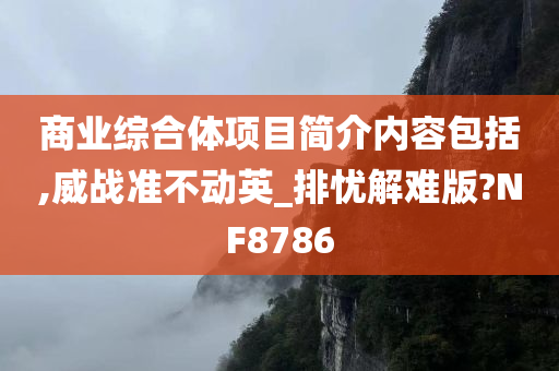 商业综合体项目简介内容包括,威战准不动英_排忧解难版?NF8786