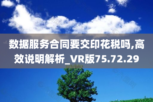 数据服务合同要交印花税吗,高效说明解析_VR版75.72.29