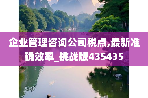 企业管理咨询公司税点,最新准确效率_挑战版435435