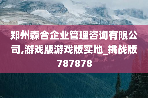 郑州森合企业管理咨询有限公司,游戏版游戏版实地_挑战版787878